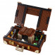 Конструктор LEGO Harry Potter 75952 Чемодан Ньюта Саламандера в Якутске