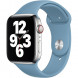 Ремешок для Apple Watch 40mm Northern Blue Sport Band (MYD02ZM/A), скандинавский синий в Якутске