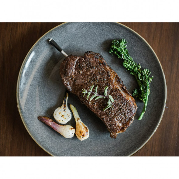 Термометр со щупом Meater Plus для мяса в Якутске